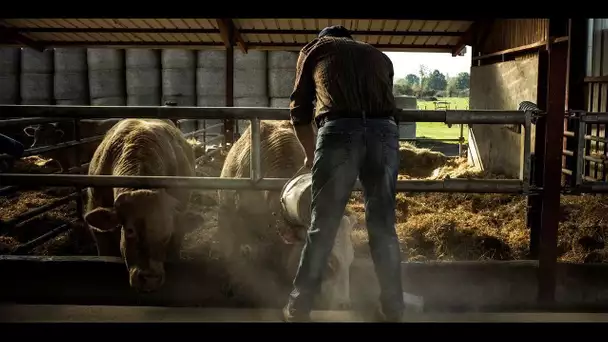 Agriculture : "L'enjeu majeur, c'est le renouvellement des générations"