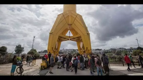 Marche blanche en hommage à Steve : "On ne veut aucun débordement", demandent ses proches