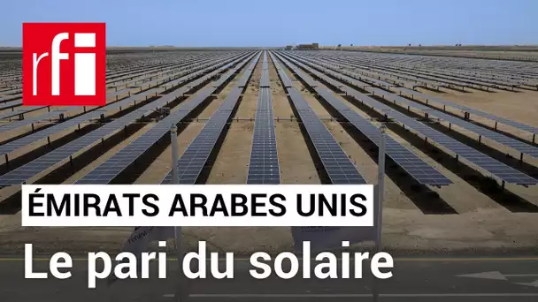 Émirats arabes unis : le pari du solaire• RFI