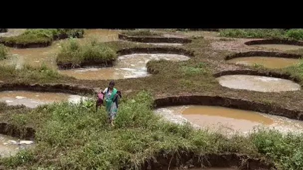 Des pluies de mousson meurtrières en Inde