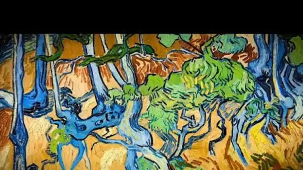 Le secret du dernier tableau de Van Gogh révélé