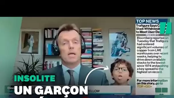 Ce garçon a volé la vedette à son papa lors de son passage télé sur Bloomberg