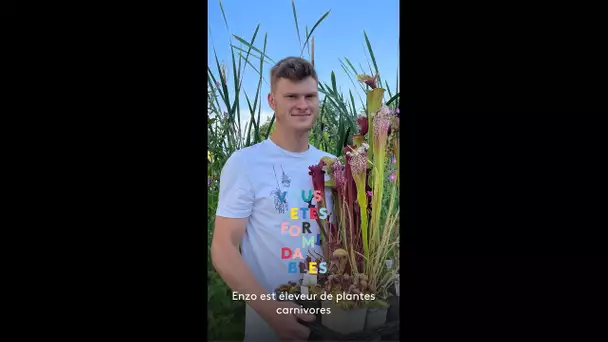 Enzo est éleveur de plantes carnivores