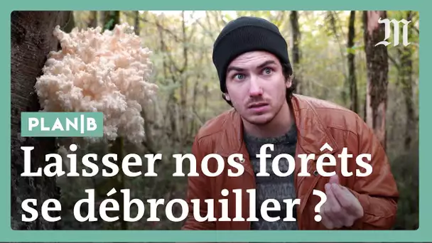 Et si on laissait nos forêts tranquilles ? #Plan B