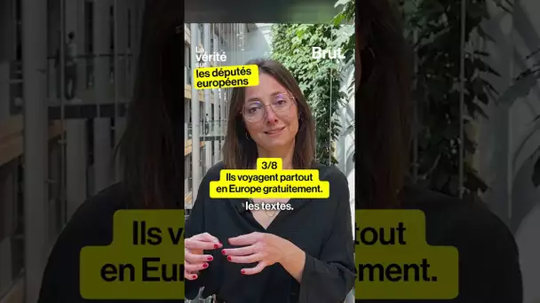 La vérité sur les députés européens par Saskia Bricmont, députée européenne belge (3/8)