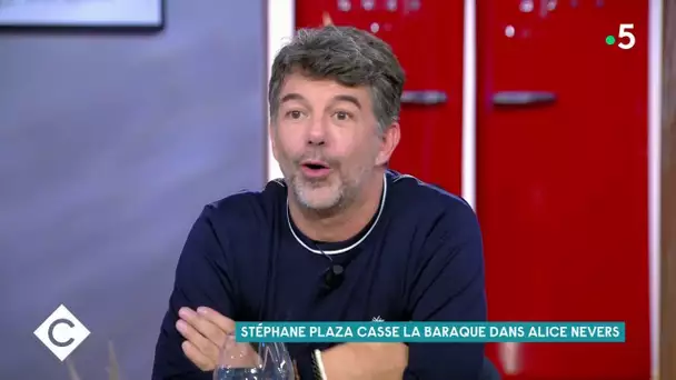 Stéphane Plaza casse la baraque dans Alice Nevers - C à Vous - 22/10/2020