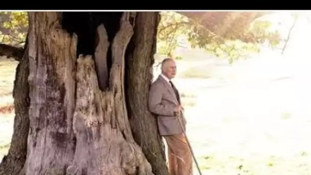 Buckingham Palace publie une nouvelle photo alors que Charles confiait un rôle spécial à son père ég