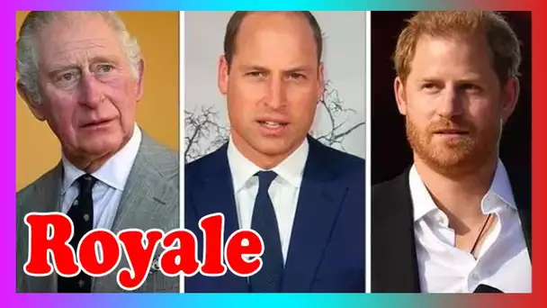 Charles a 'contourné' la discussion sur le tr@vail de William et Harry: 'Je ne voulais pas parler'