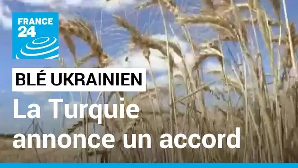 Exportation de blé ukrainien : vers un accord entre Kiev et Moscou sous l'égide de la Turquie