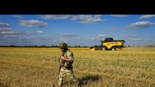 Récolter en temps de guerre : la détresse des agriculteurs ukrainiens