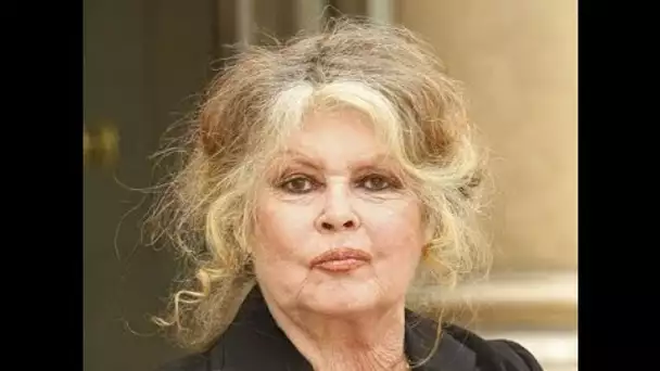 Brigitte Bardot « scandalisée » : elle pousse un nouveau coup de gueule