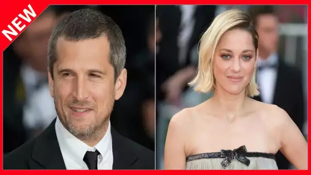 ✅  Guillaume Canet partage une tendre photo de Marion Cotillard au naturel avec leurs enfants