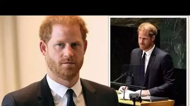 Le prince Harry devrait rester à l'écart de la politique - "Ne peut pas être prince et militant poli