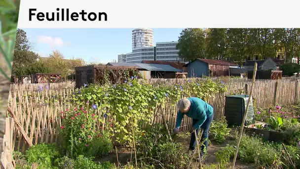 L'agriculture urbaine : les jardins collectifs nourriciers