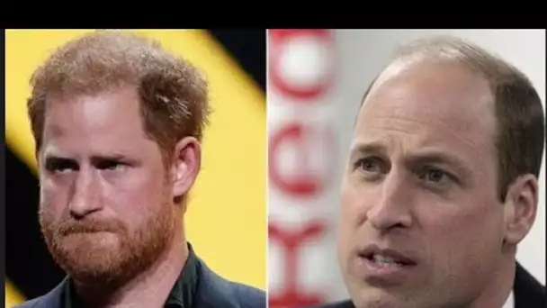 Le prince Harry n'a « pas d'autre choix » que de rencontrer le prince William lors de sa prochaine