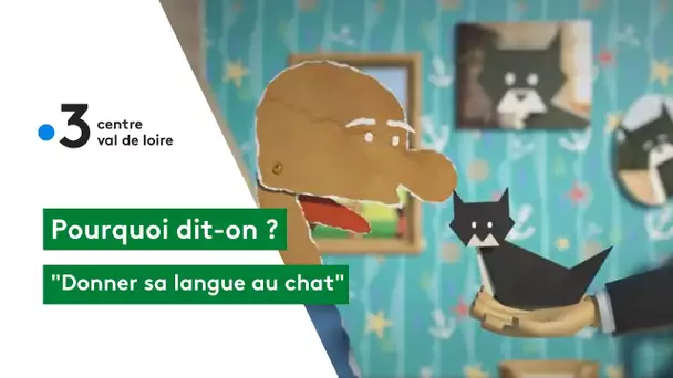 Pourquoi dit-on : "Donner sa langue au chat" ?