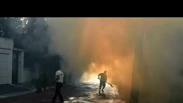 Les incendies gagnent du terrain en Grèce, des centaines d'habitants évacués • FRANCE 24