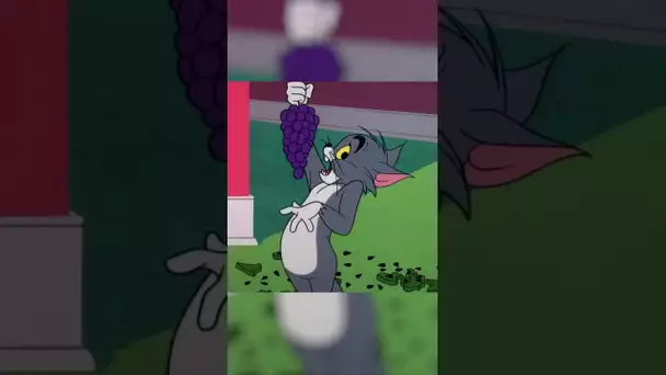 Mais qui vole les fruits de Tom ? 😲 #tometjerry #shorts