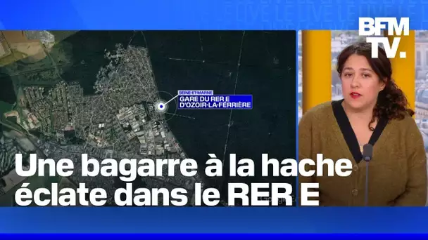 Seine-et-Marne: une bagarre éclate dans le RER E, quatre personnes blessées à coups de hache