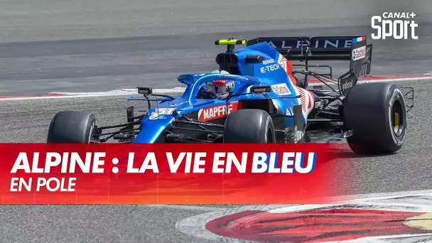 Alpine : la vie en Bleu