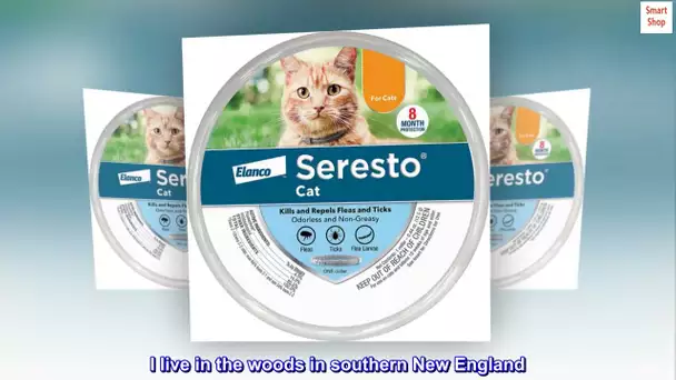 Seresto Flea and Tick Collar for Cats, 8-Month Flea and Tick Collar for Cats