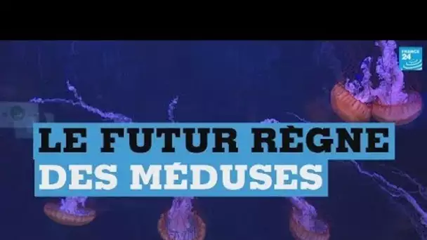 MEDUSES