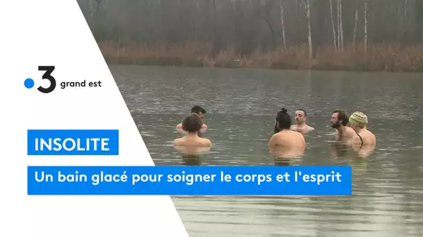 Strasbourg : un bain glacé pour soigner le corps et l'esprit