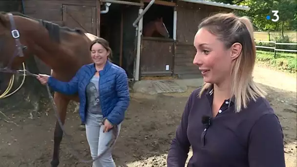 Des métiers originaux autour du cheval en Corrèze