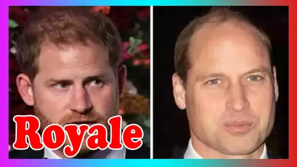 Le prince Harry devrait m@nquer le «lien» de longue date de la tradition de Noël avec William