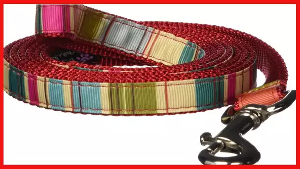 Medium Red/Multi Stripe Dog Leash: 3/4" Wide, 6ft Length - Made in USA.