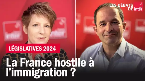 La France Hostile à l'immigration ?