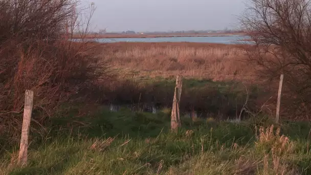 Projet d'extension pour la réserve naturelle d'Yves