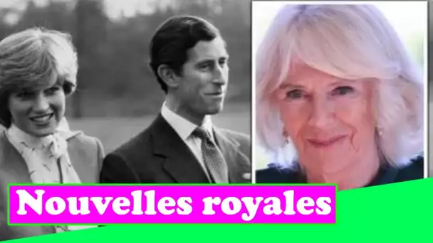 Camilla a fait un «mouvement de voyou mafieux» avec une remarque à Diana après les fiançailles de C