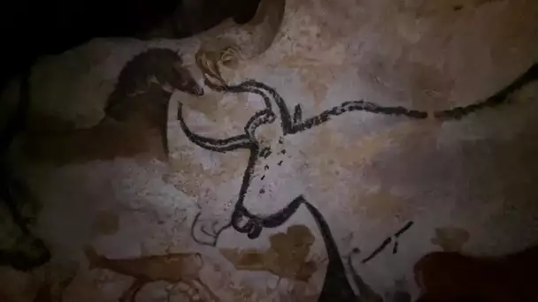 Archéologie : au cœur des théories de Lascaux