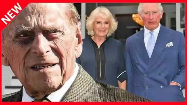 ✅  Le prince Philip et Camilla : ces mots pas très chics pour le grand amour de son fils