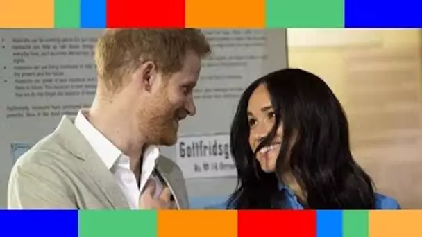 Harry et Meghan  ce soutien affiché du couple Sussex qui remet de l'huile sur le feu