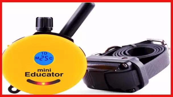 Educator E-Collar Humane Dog Training Collar with Remote, Features 100 Levels of Safe Stimulation