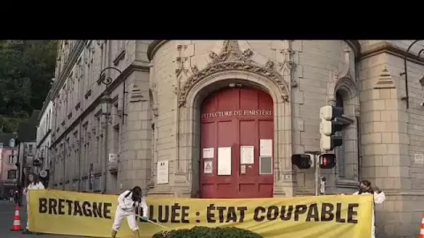 No Comment : des algues vertes déversées devant la préfecture française du Finistère