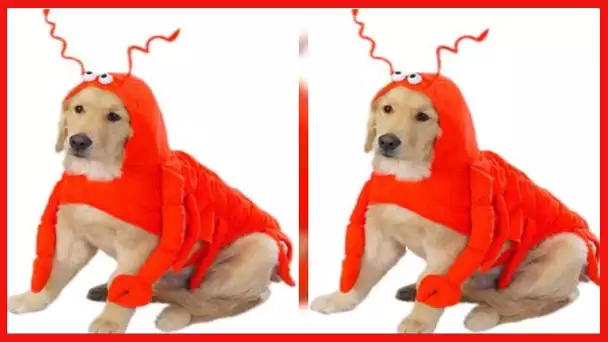 Casual Canine Lobster Paws Dog Costume, X-Large (fits lengths up to 24"), Red-Orange