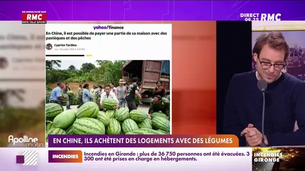 La pépite de Quentin: En Chine, ils achètent des logements avec des légumes