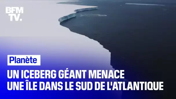 Un iceberg géant menace une île dans le sud de l'Atlantique