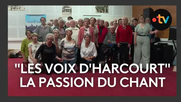 "Les voix d'Harcourt", la passion du chant à Chauvigny