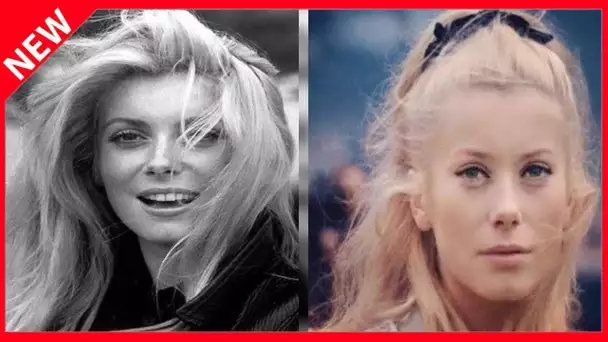 ✅  Catherine Deneuve : qui sont les hommes de sa vie ?