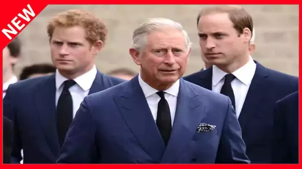 ✅  Harry et William en guerre : cette soirée où tout a basculé