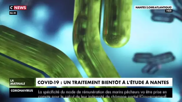 Covid-19 : un traitement bientôt à l'étude à Nantes