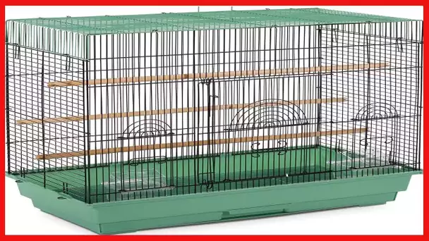 Prevue Pet Products SP1804-4 Flight Cage, Green/Black