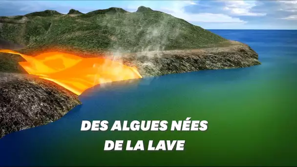 L'improbable conséquence de l'éruption du Kīlauea à Hawaï