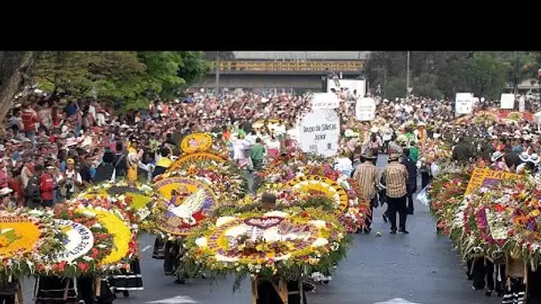 La fête des fleurs à Medellin, tradition colombienne