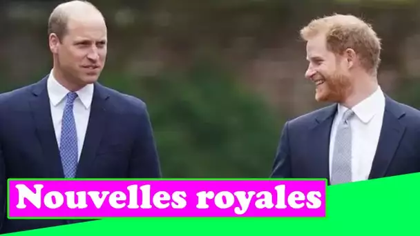 La querelle du prince Harry et du prince William «est très profonde» – L'affichage public a été sépa