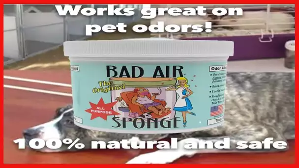 Bad Air Sponge The ORIGINAL Odor Absorbing Neutralant, 14oz(Packaging May Vary)